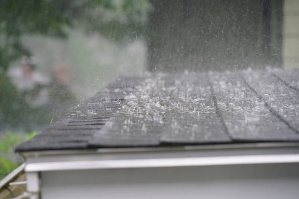 Best Cold Roofs  in Watertown, SD